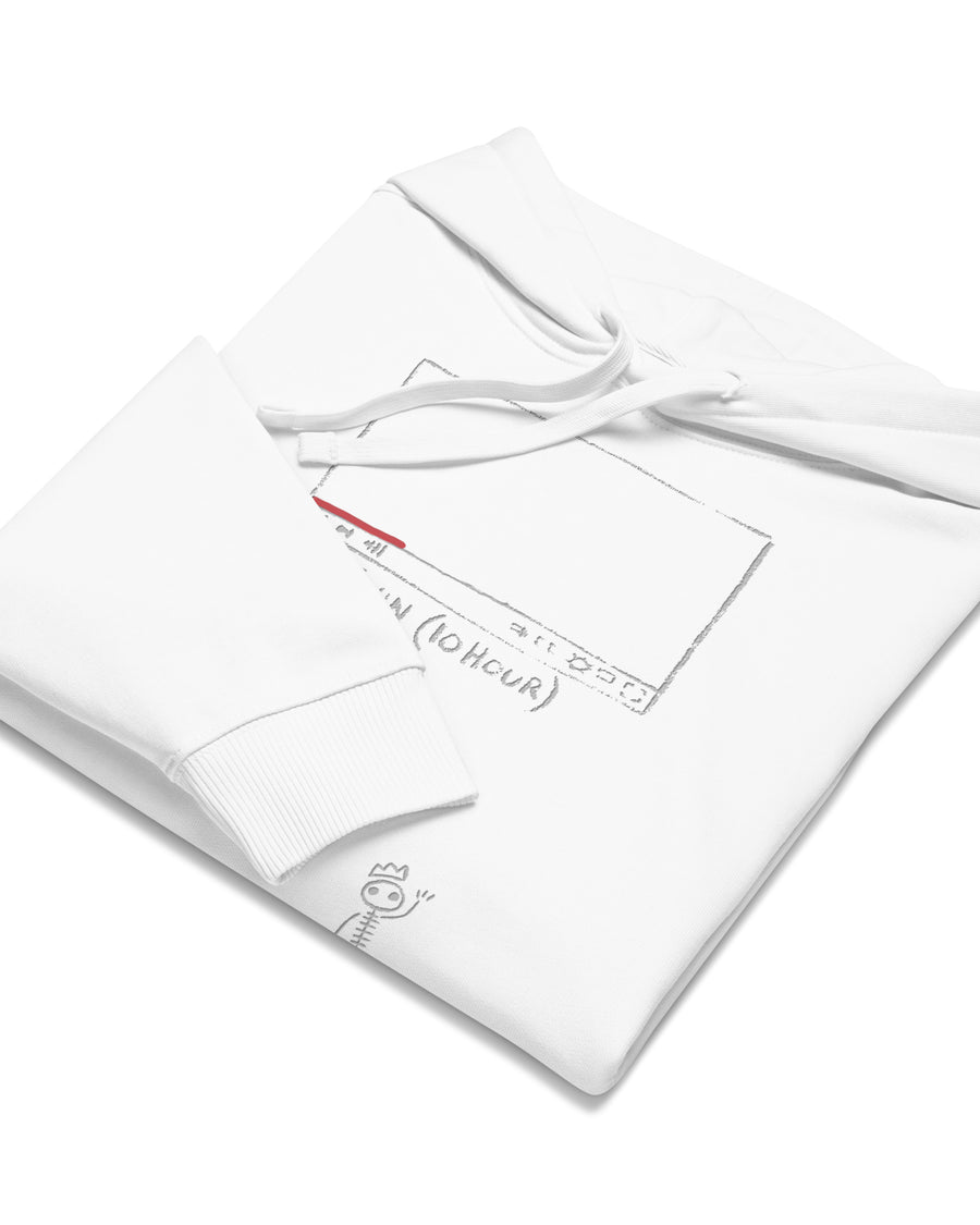 Stone in Focus Hoodie